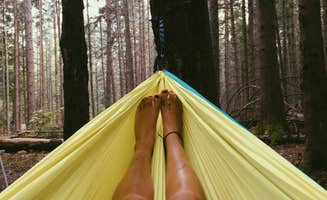 Hannah V.'s photo at Holly River State Park Campground near Buckhannon, WV