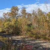 Review photo of Devil's Den State Park Campground by Ode2joy , October 31, 2023