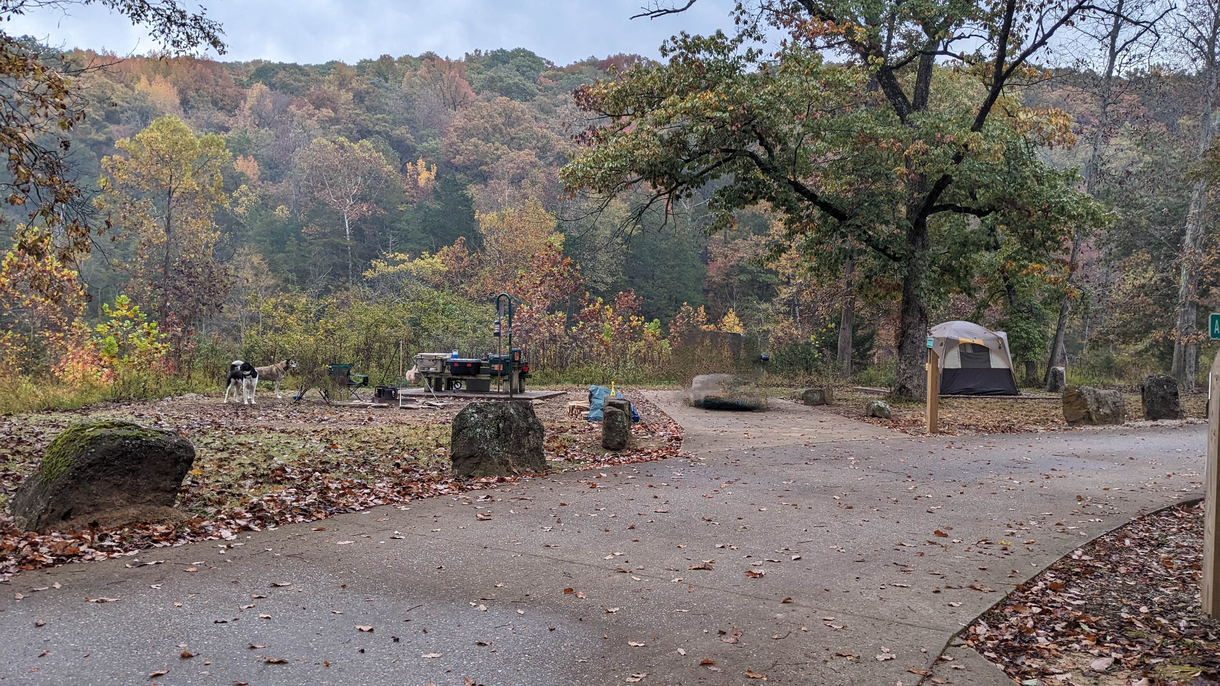 Ode2joy's photo of camping with pets at Devil's Den State Park Campground near Bunch, OK