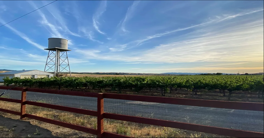 Leisure Street Winery Camping