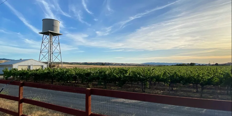 Camper submitted image from Leisure Street Winery Camping