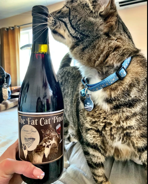 Kelly V.'s photo of camping with pets at Leisure Street Winery Camping near Brisbane, CA