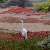 Review photo of Doran Regional Park by Lee D., November 1, 2023