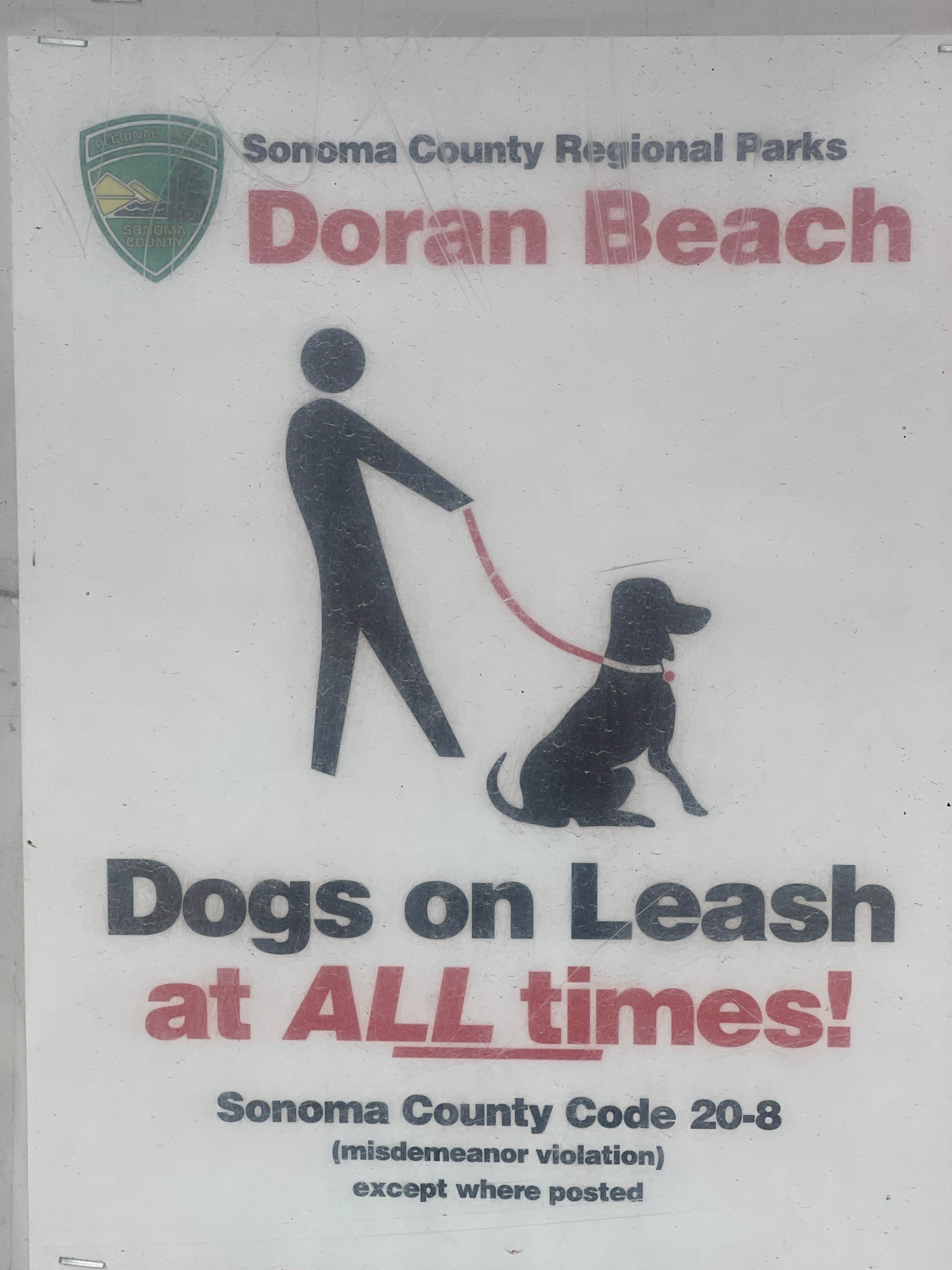 Lee D.'s photo of camping with pets at Doran Regional Park near Rohnert Park, CA