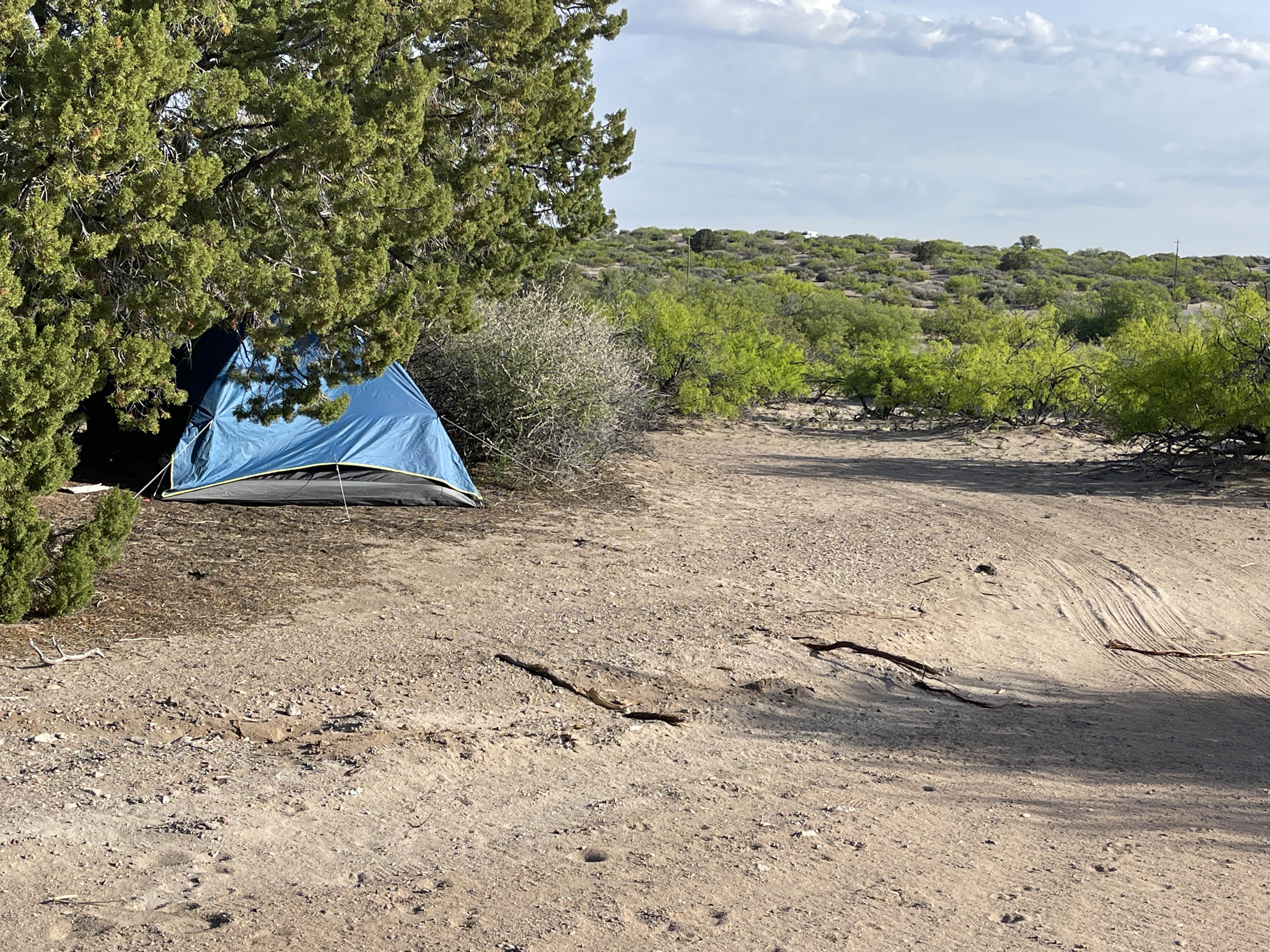 Lee D.'s photo at Lower Ridge Road Camping Area — Elephant Butte Lake State Park near Arrey, NM