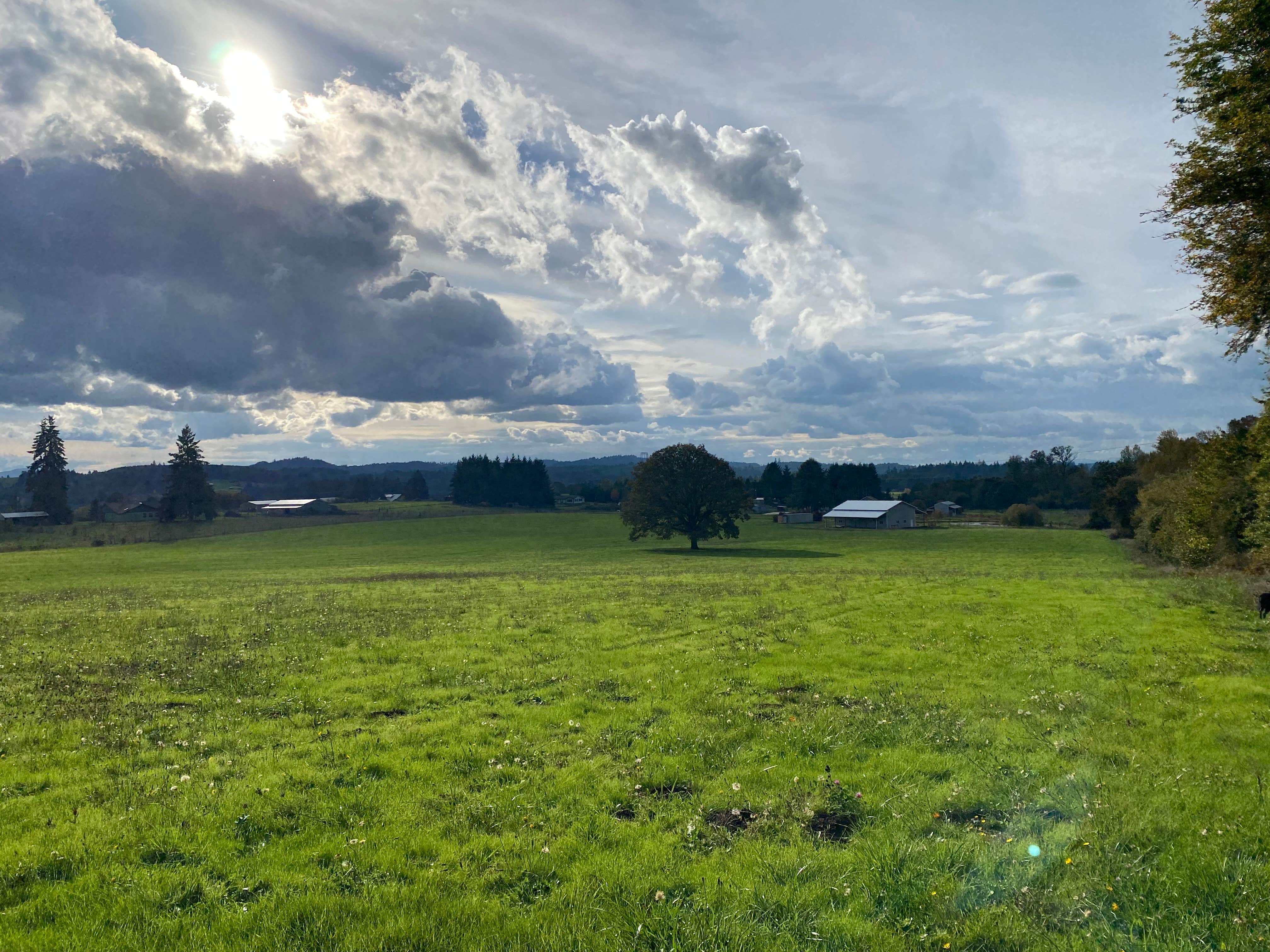 Camping near Sweet Home Ranger District (US Highway 20): Pleasant pond farm, Lebanon, Oregon