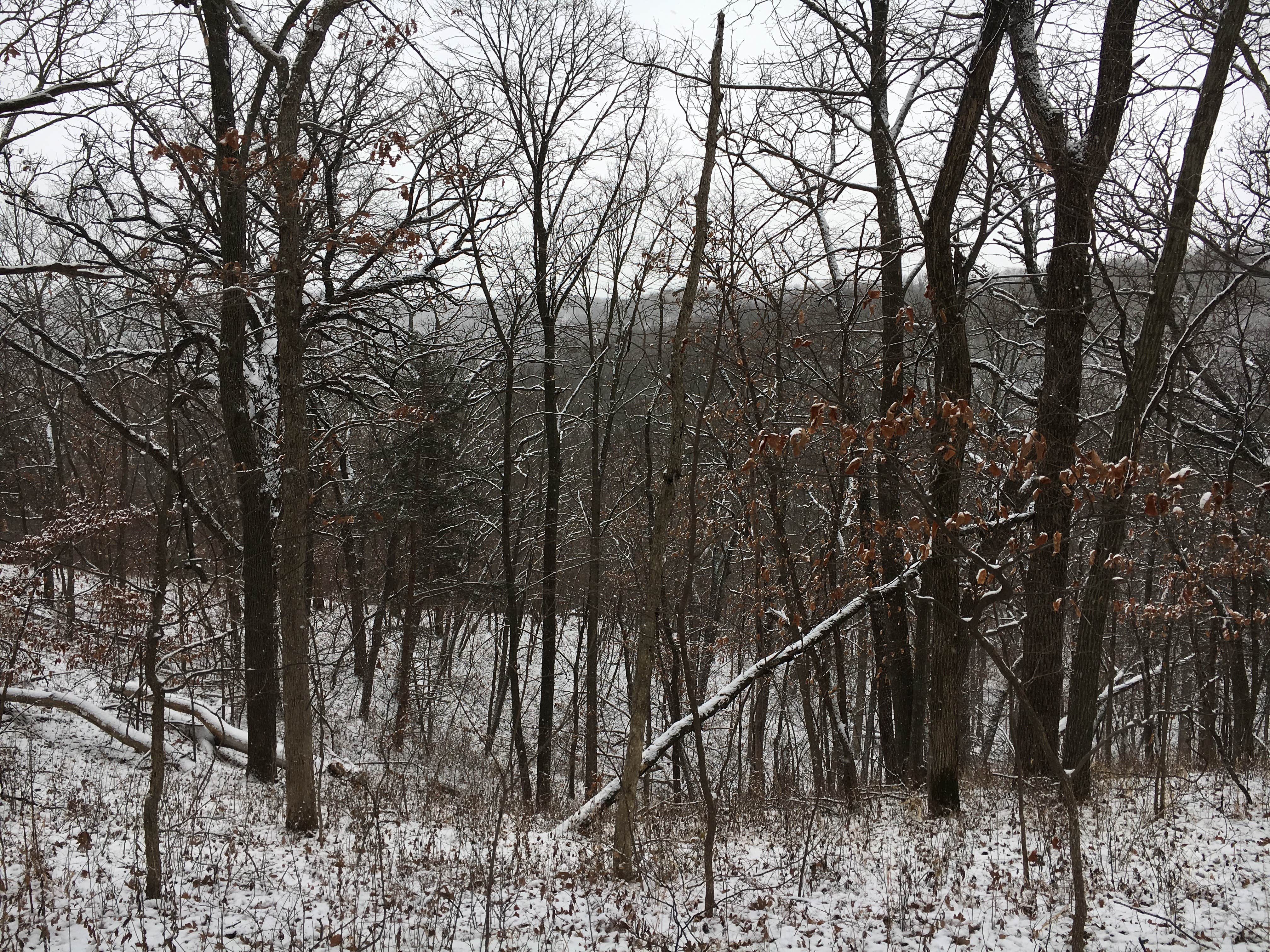 Camper-submitted photo at Hickory Hills Park near Woodburn, IA