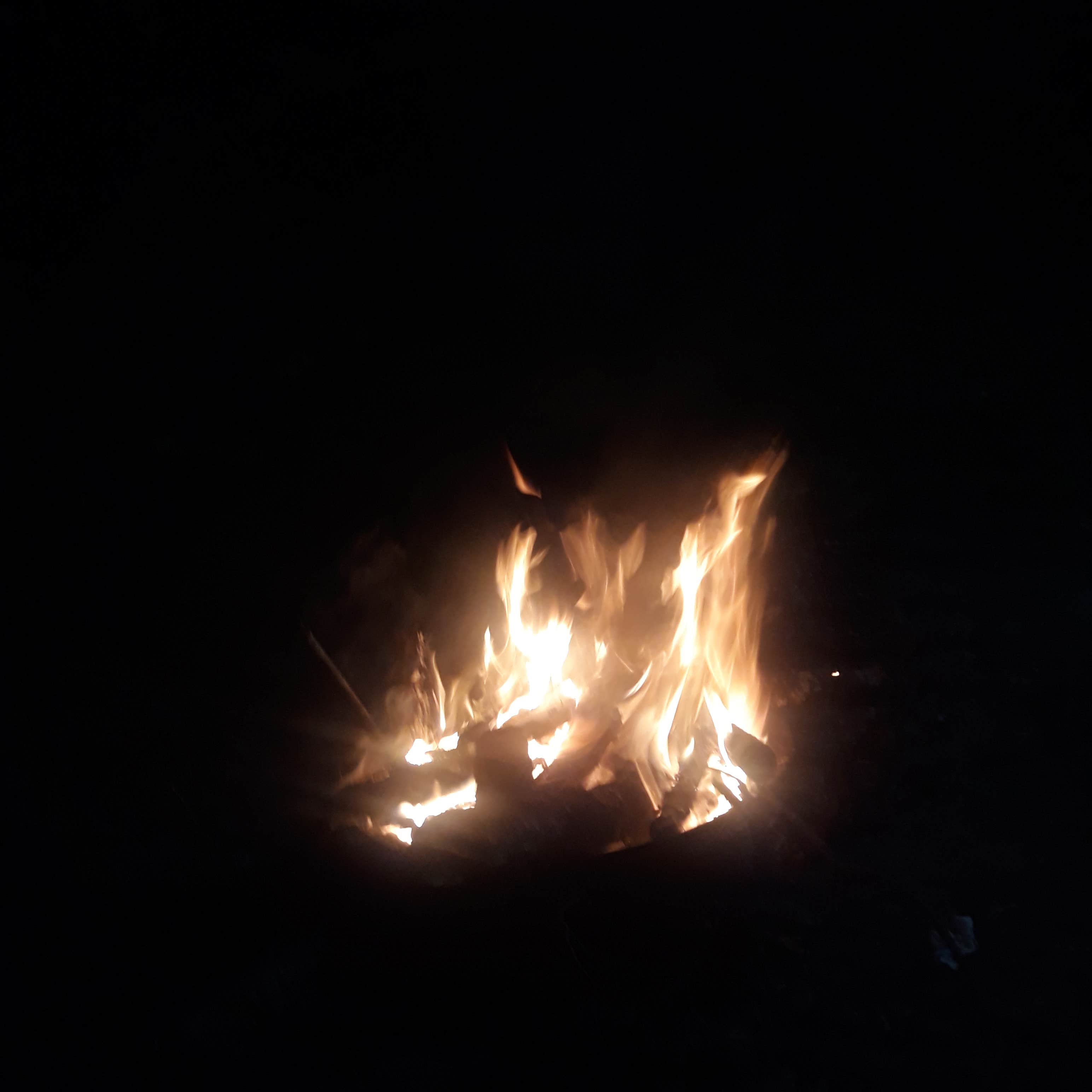 Camping near Holton Creek River Camp — Suwannee River Wilderness Trail: Madison Blue Springs Private Land - FL, Pinetta, Florida