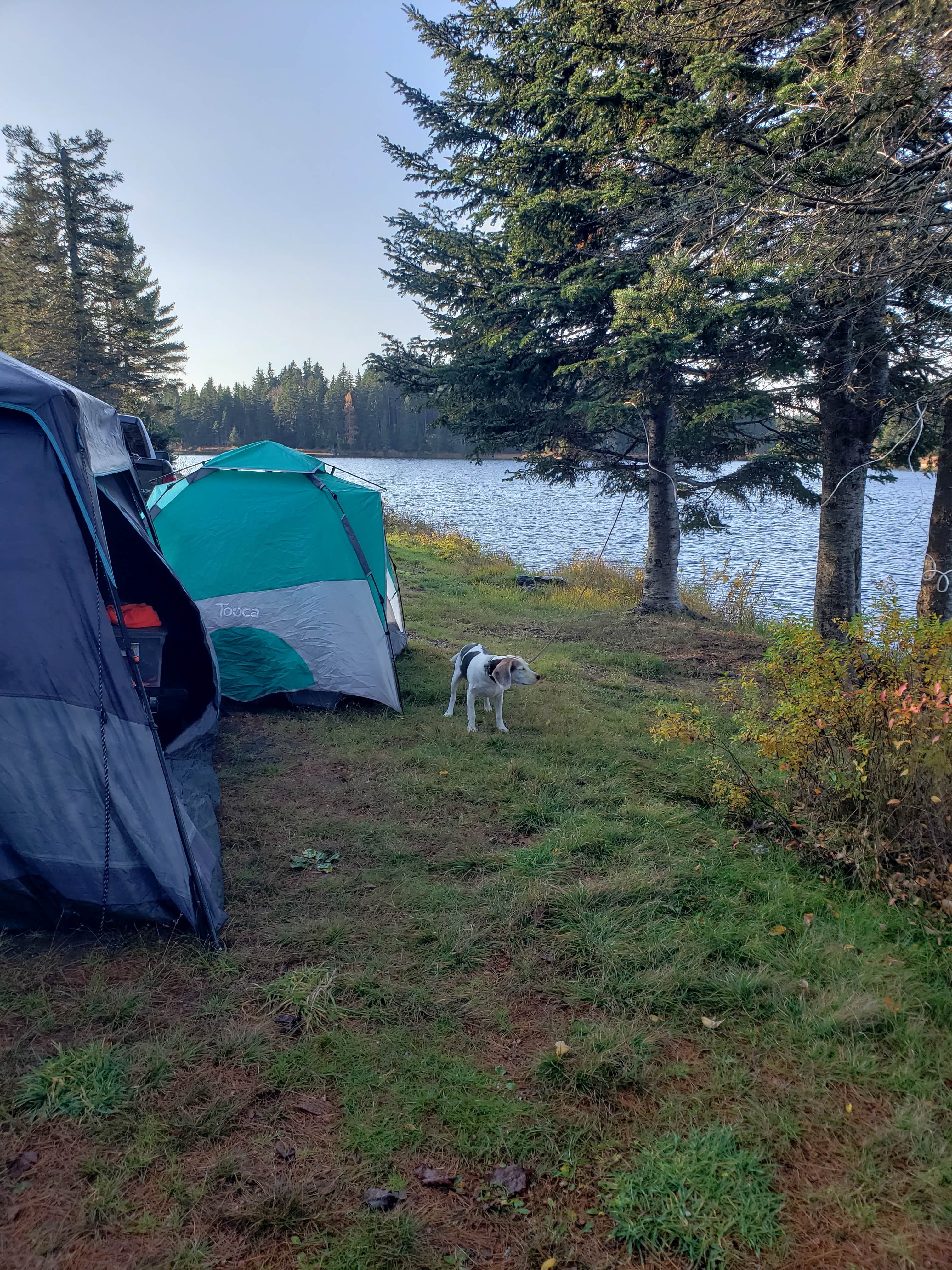 Camper-submitted photo at Lone Jack Campground — Cold Stream Forest near Caratunk, ME