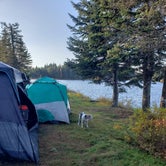 Review photo of Lone Jack Campground — Cold Stream Forest by Jill C., November 2, 2023
