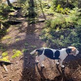 Review photo of Lone Jack Campground — Cold Stream Forest by Jill C., November 2, 2023