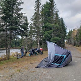 Lone Jack Campground — Cold Stream Forest