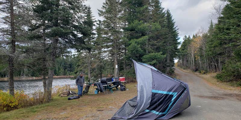 Camper submitted image from Lone Jack Campground — Cold Stream Forest