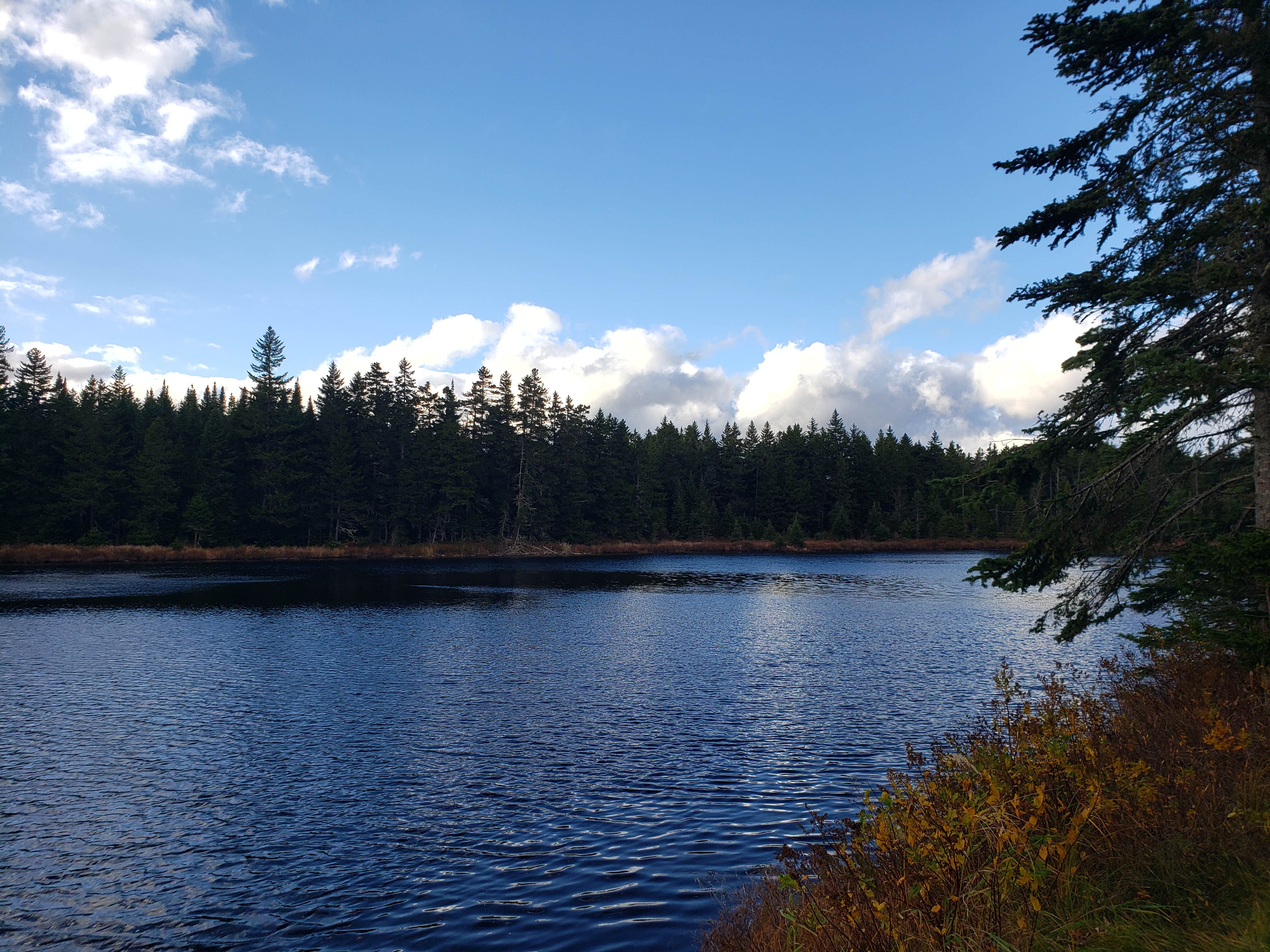 Camper-submitted photo at Lone Jack Campground — Cold Stream Forest near Caratunk, ME