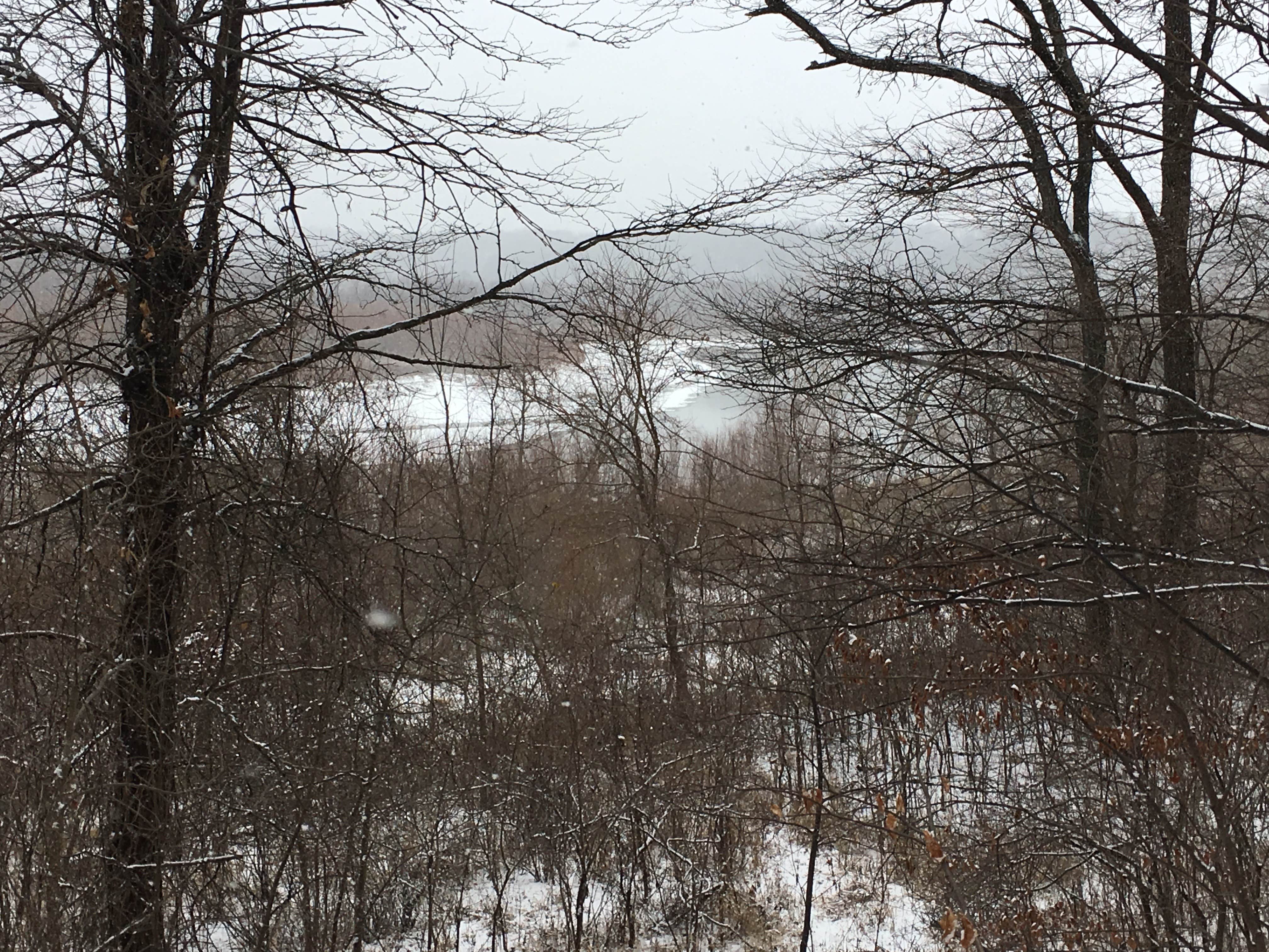 Camper-submitted photo at Hickory Hills Park near Woodburn, IA