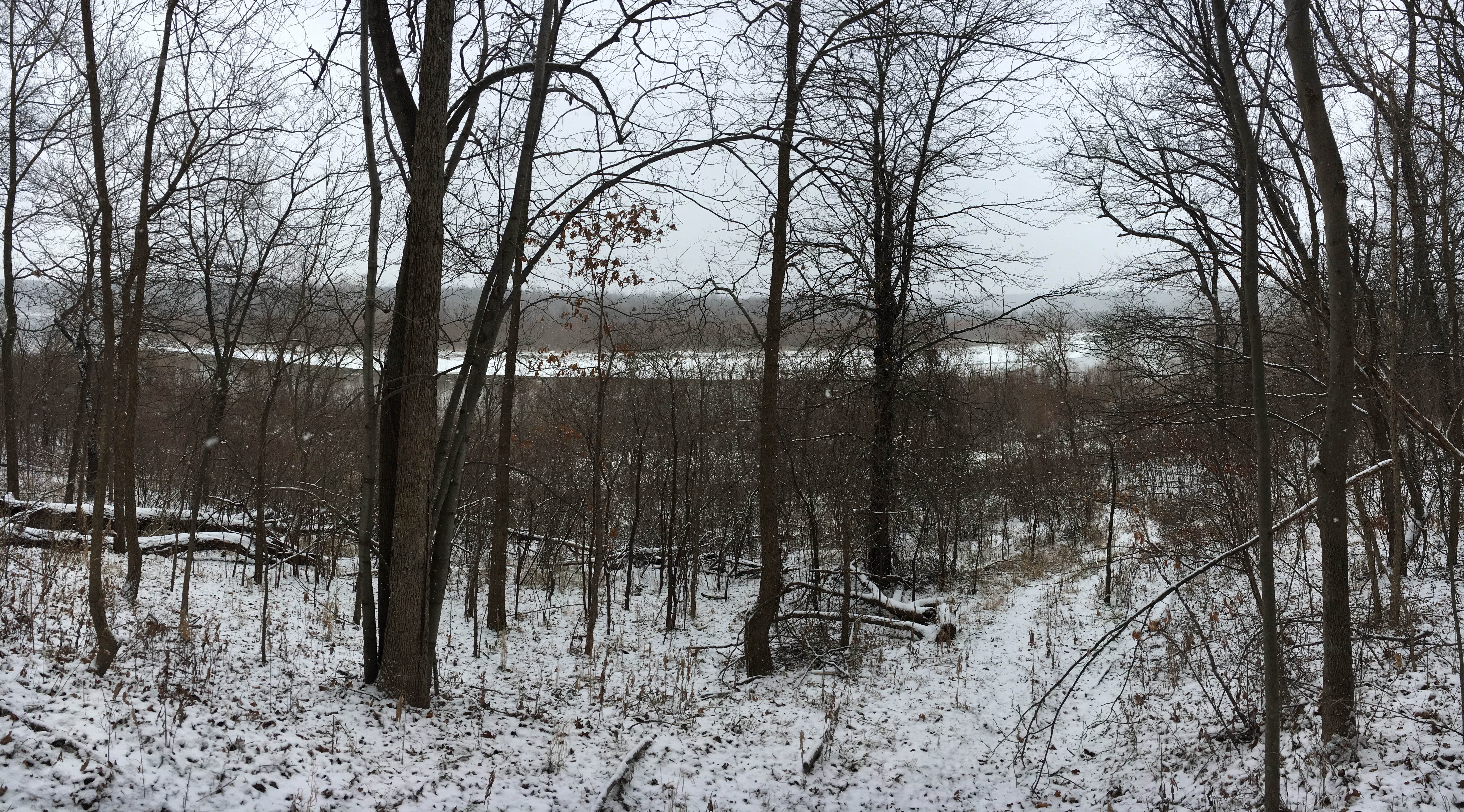 Camper-submitted photo at Hickory Hills Park near Woodburn, IA