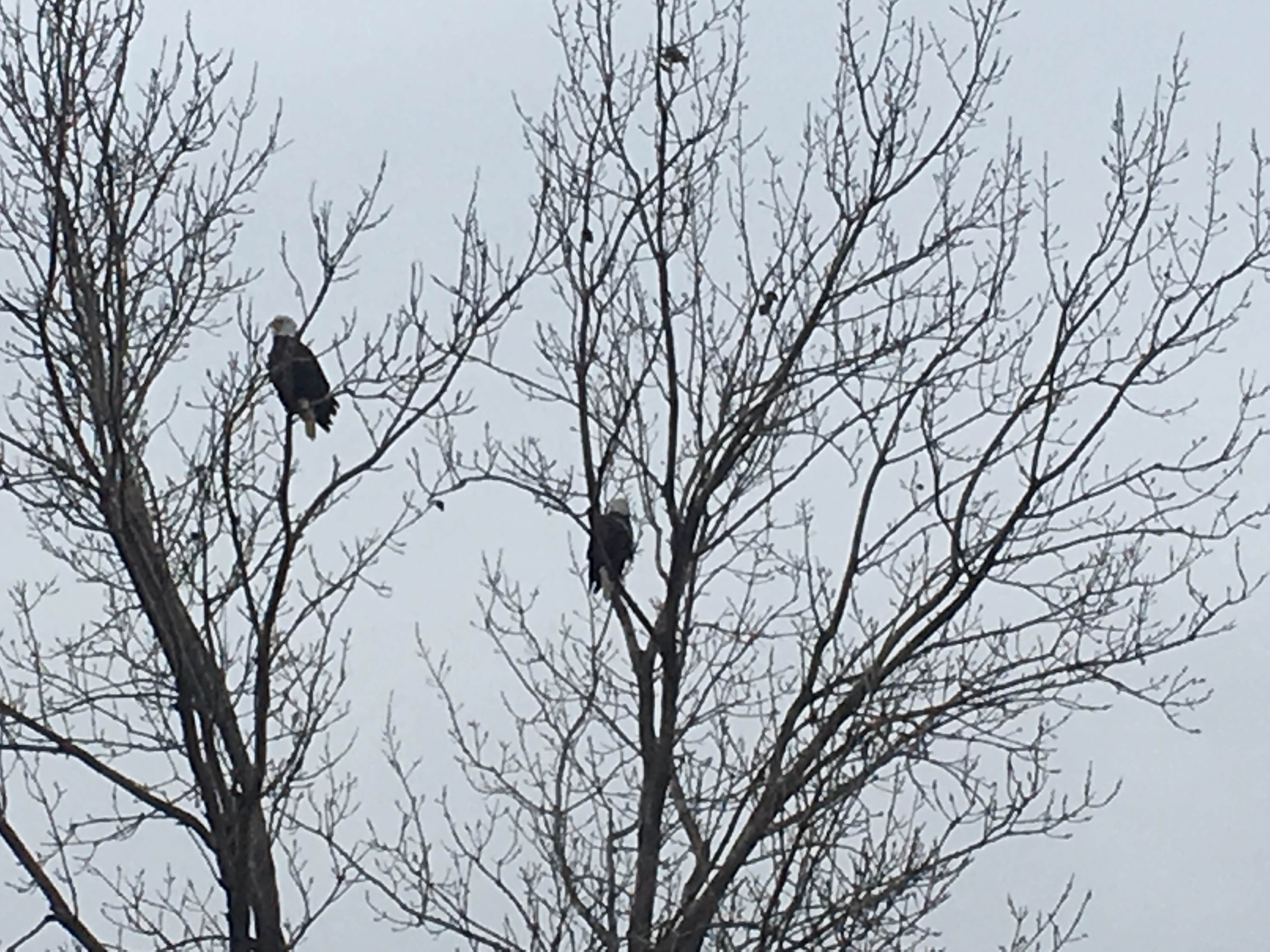 Camper-submitted photo at Hickory Hills Park near Woodburn, IA