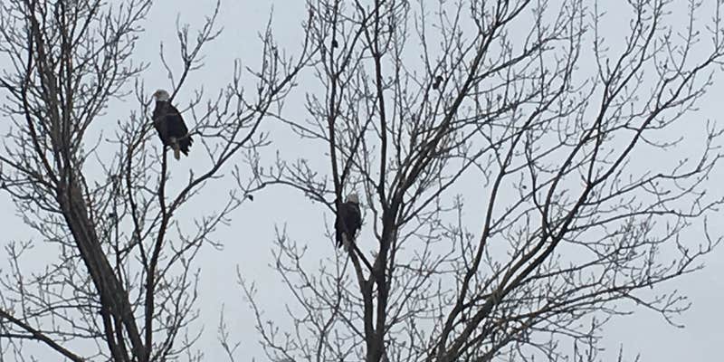 Camper submitted image from Hickory Hills Park