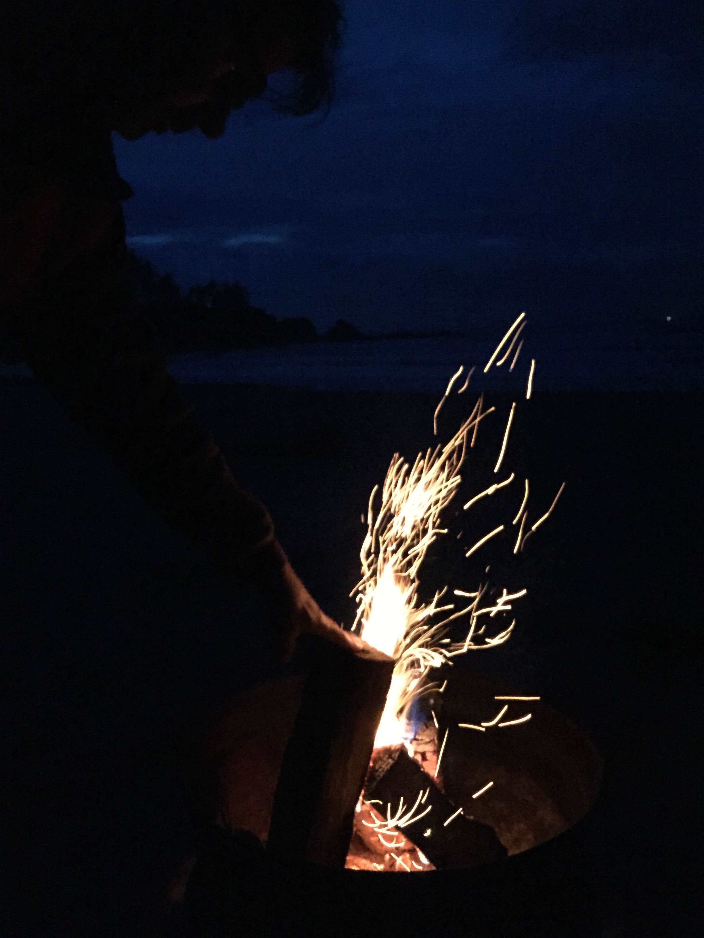 Alicia F.'s photo at Oceanside RV Park near Wedderburn, OR