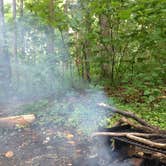 Review photo of Peaks Of Otter Campground — Blue Ridge Parkway by Hannah V., November 1, 2018