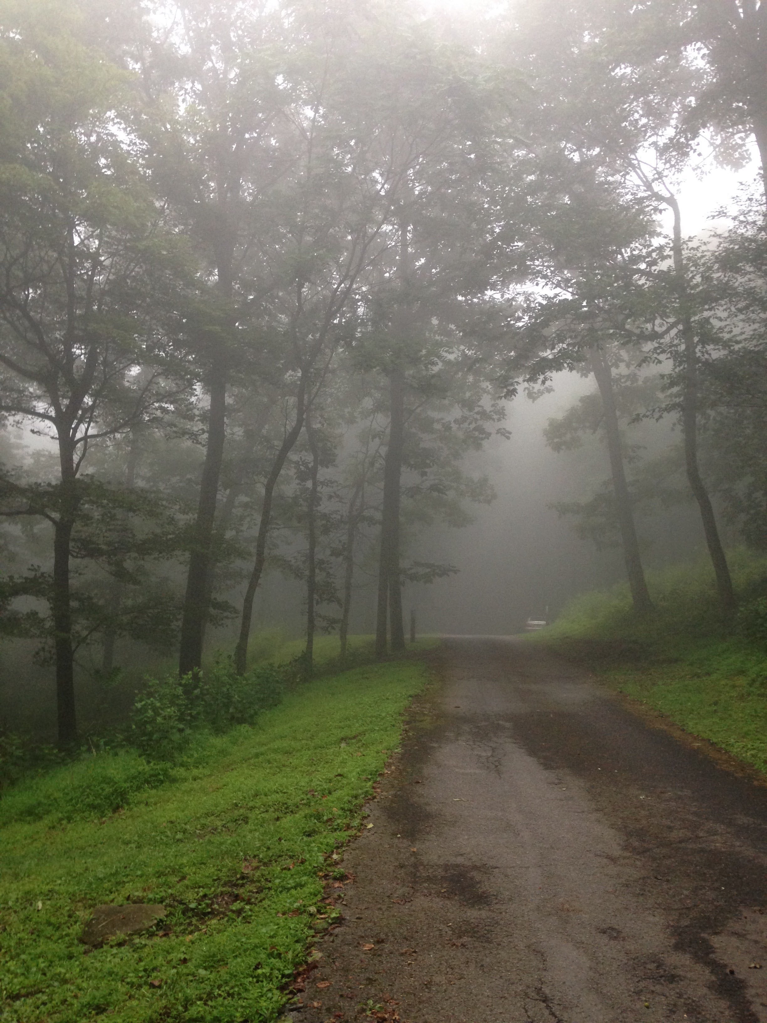Camper submitted image from Peaks Of Otter Campground — Blue Ridge Parkway - 4