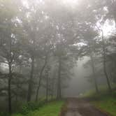 Review photo of Peaks Of Otter Campground — Blue Ridge Parkway by Hannah V., November 1, 2018