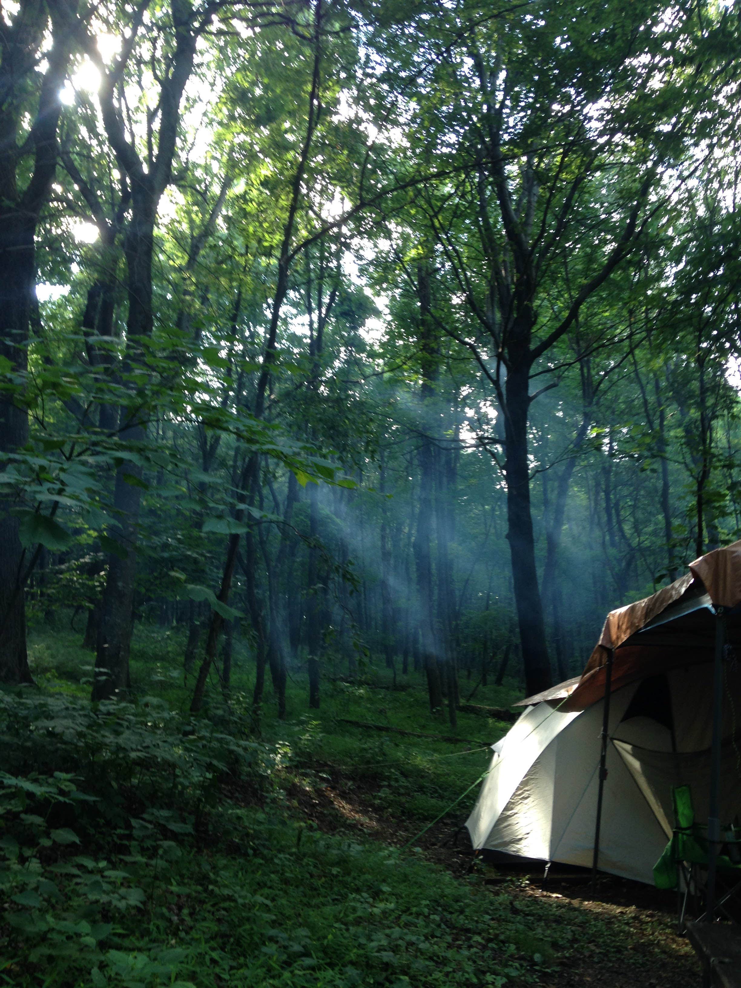 Hannah V.'s photo at Peaks Of Otter Campground — Blue Ridge Parkway near Blue Ridge, VA