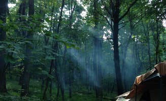 Hannah V.'s photo at Peaks Of Otter Campground — Blue Ridge Parkway near Hollins, VA