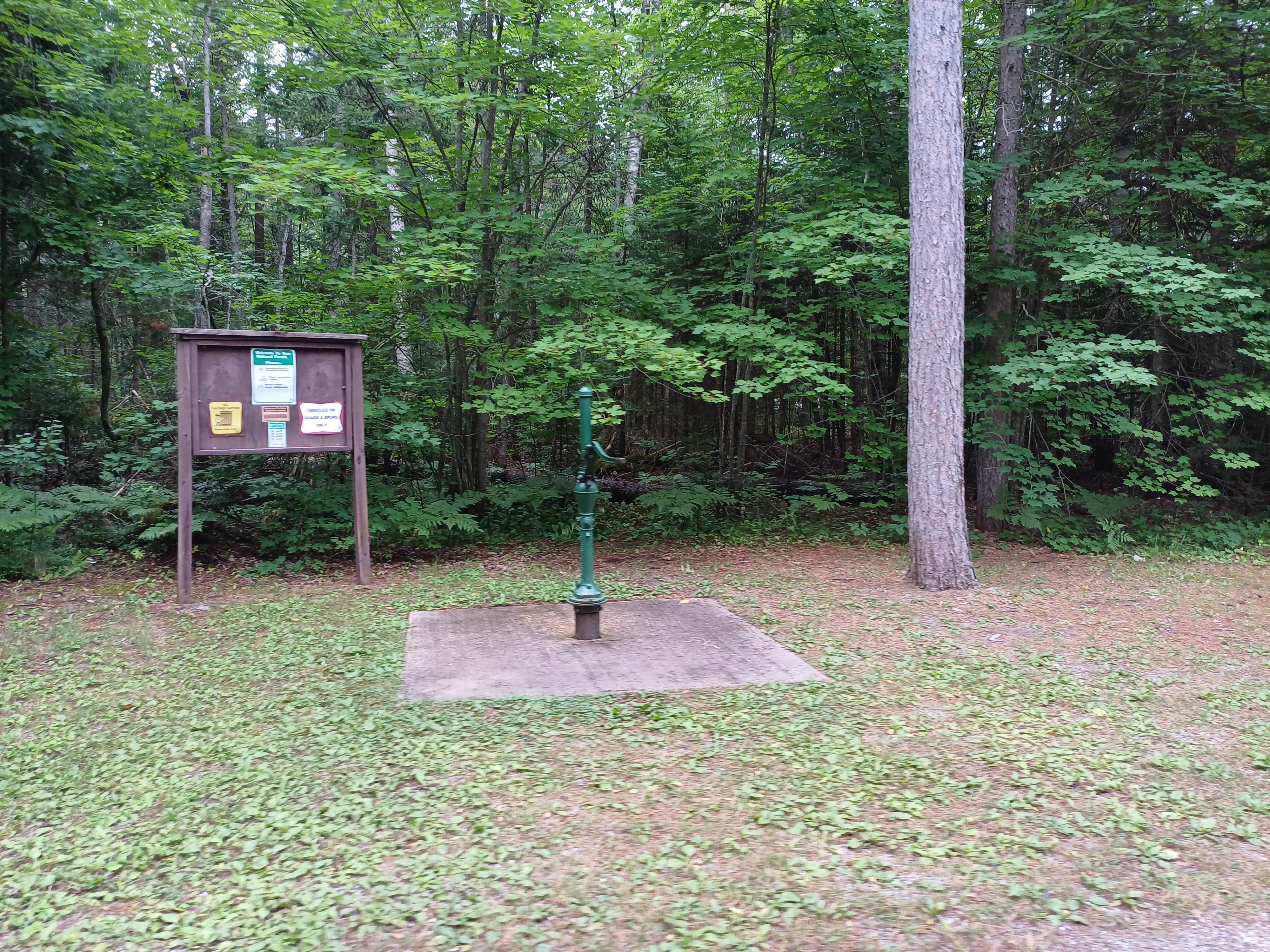 Camper submitted image from Three Lakes - 5