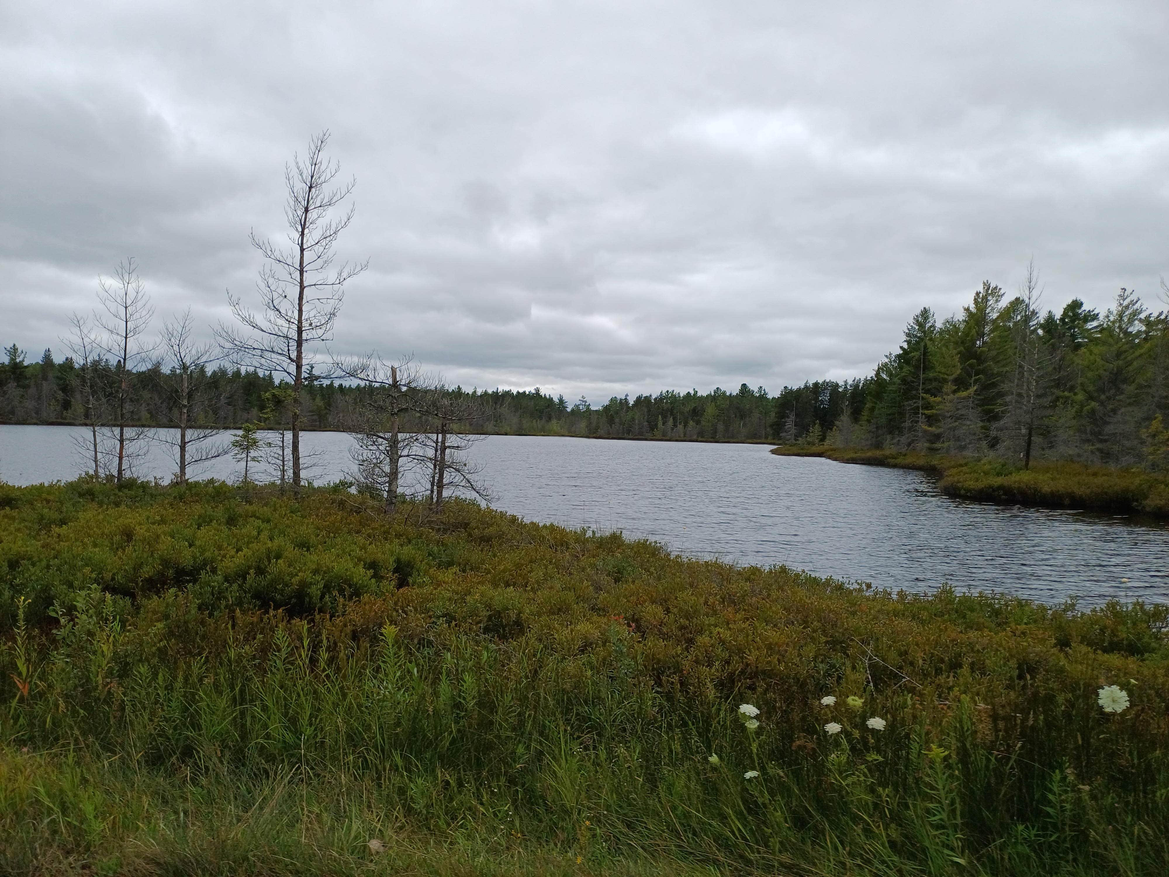 Camper-submitted photo at Three Lakes near Eckerman, MI