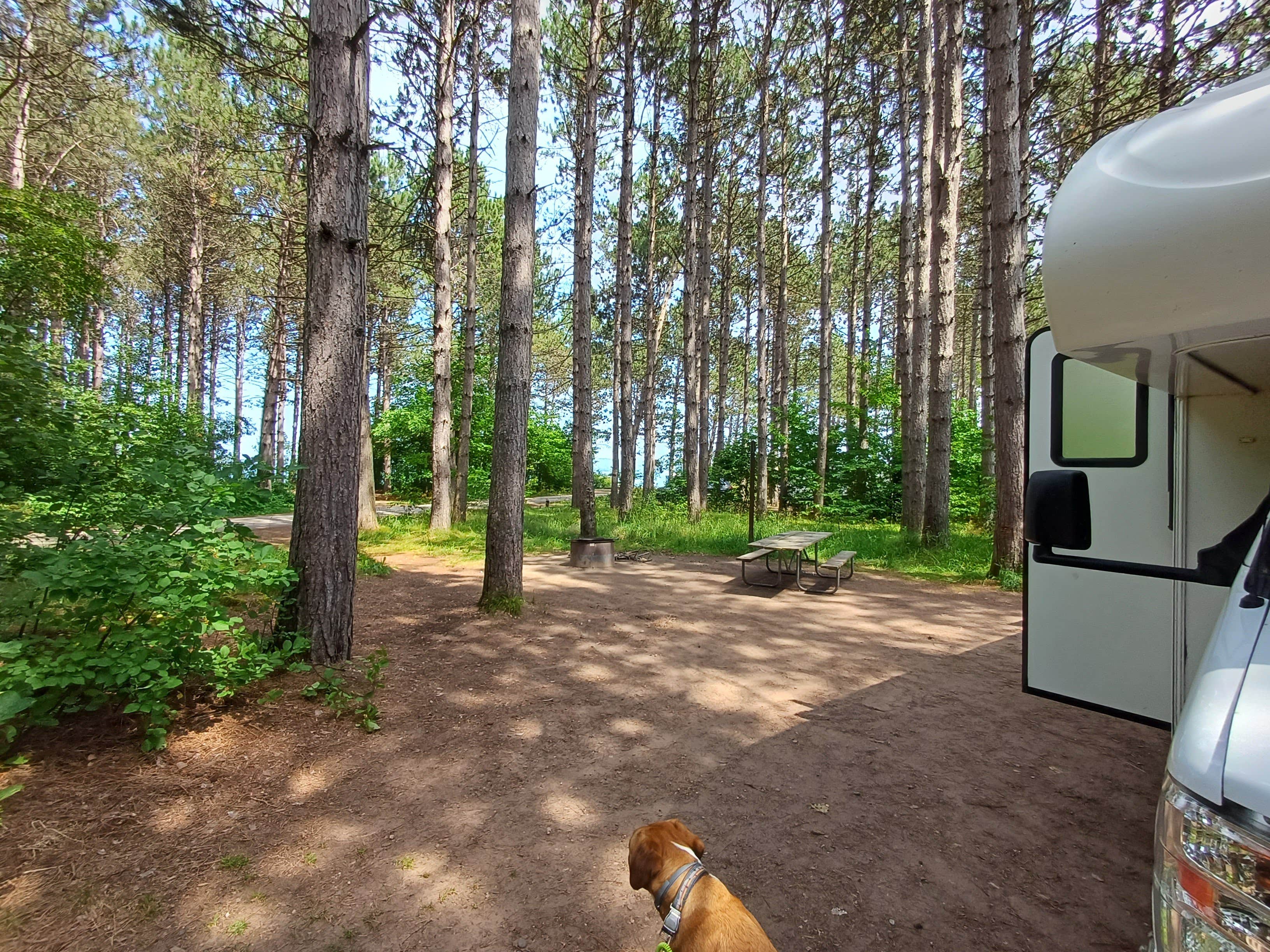 Laura M.'s photo of camping with pets at Bay Furnace Campground near Munising, MI