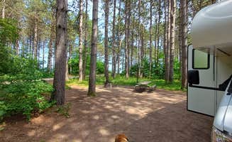Laura M.'s photo of camping with pets at Bay Furnace Campground near Ishpeming, MI
