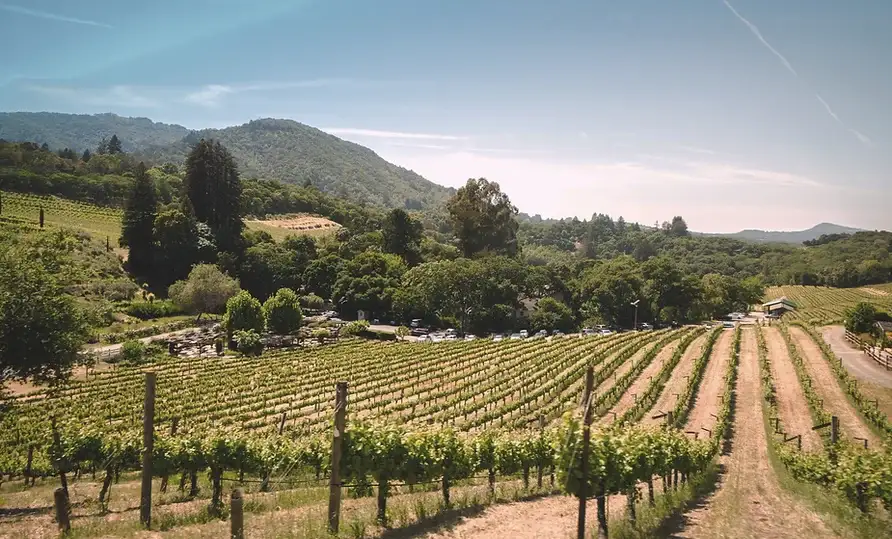 Camper-submitted photo at Valley's Edge RV Park near Rickreall, OR