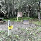 Review photo of Van Damme State Park Campground by Lee D., November 2, 2023