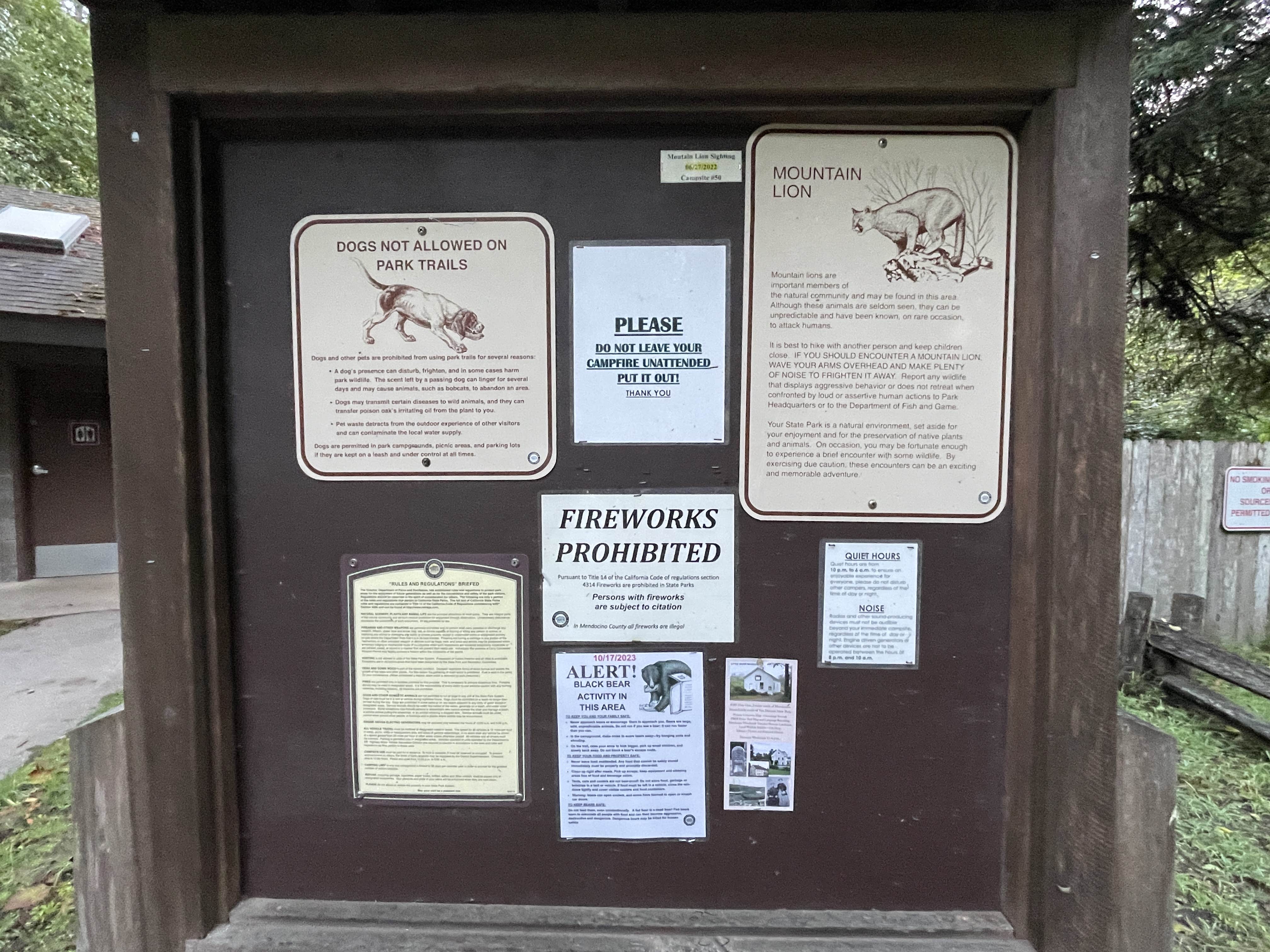 Lee D.'s photo of camping with pets at Van Damme State Park Campground near Mendocino, CA