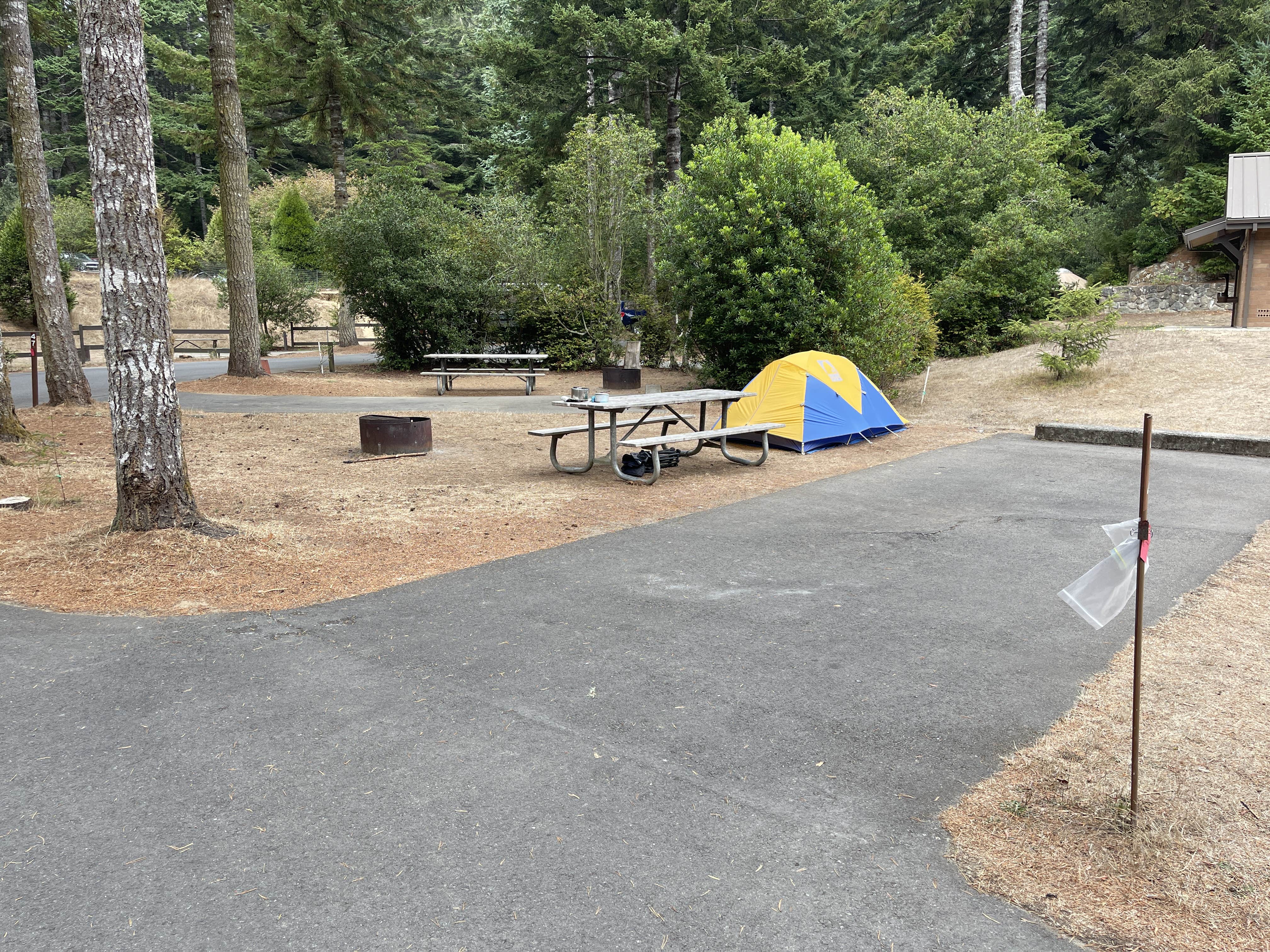 Lee D.'s photo at Umpqua Lighthouse State Park Campground near Gardiner, OR