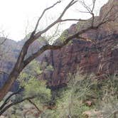 Review photo of Lava Point Campground — Zion National Park by Crystal C., November 1, 2018