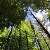 Review photo of Bartram Trail Campground on Nantahala Lake by Asher K., November 1, 2018