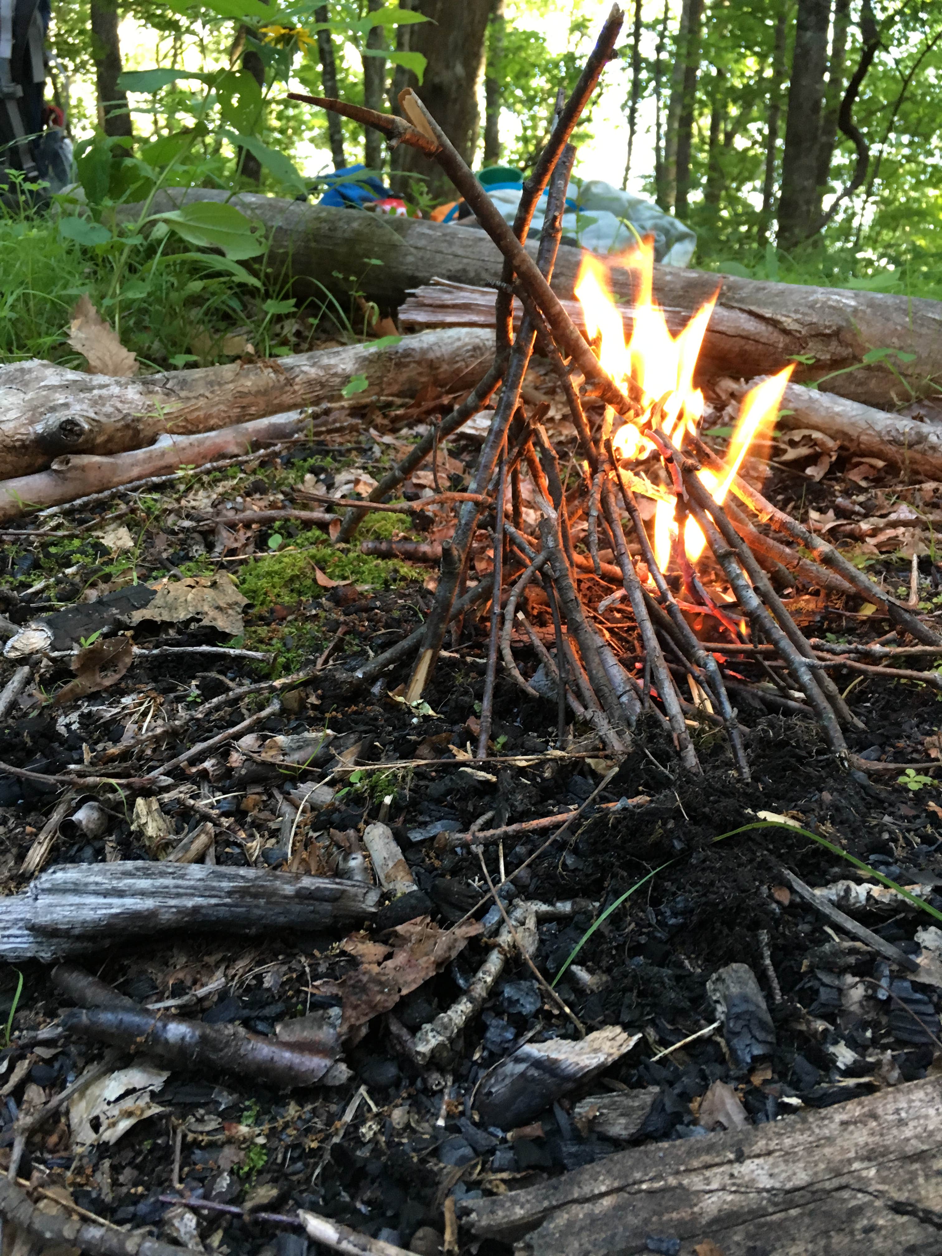 Camper-submitted photo at Bartram Trail Campground Past Wayah Bald near Bryson City, NC