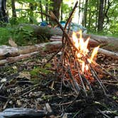 Review photo of Bartram Trail Campground Past Wayah Bald by Asher K., November 1, 2018