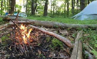Asher K.'s photo at Bartram Trail Campground Past Wayah Bald near Nantahala National Forest