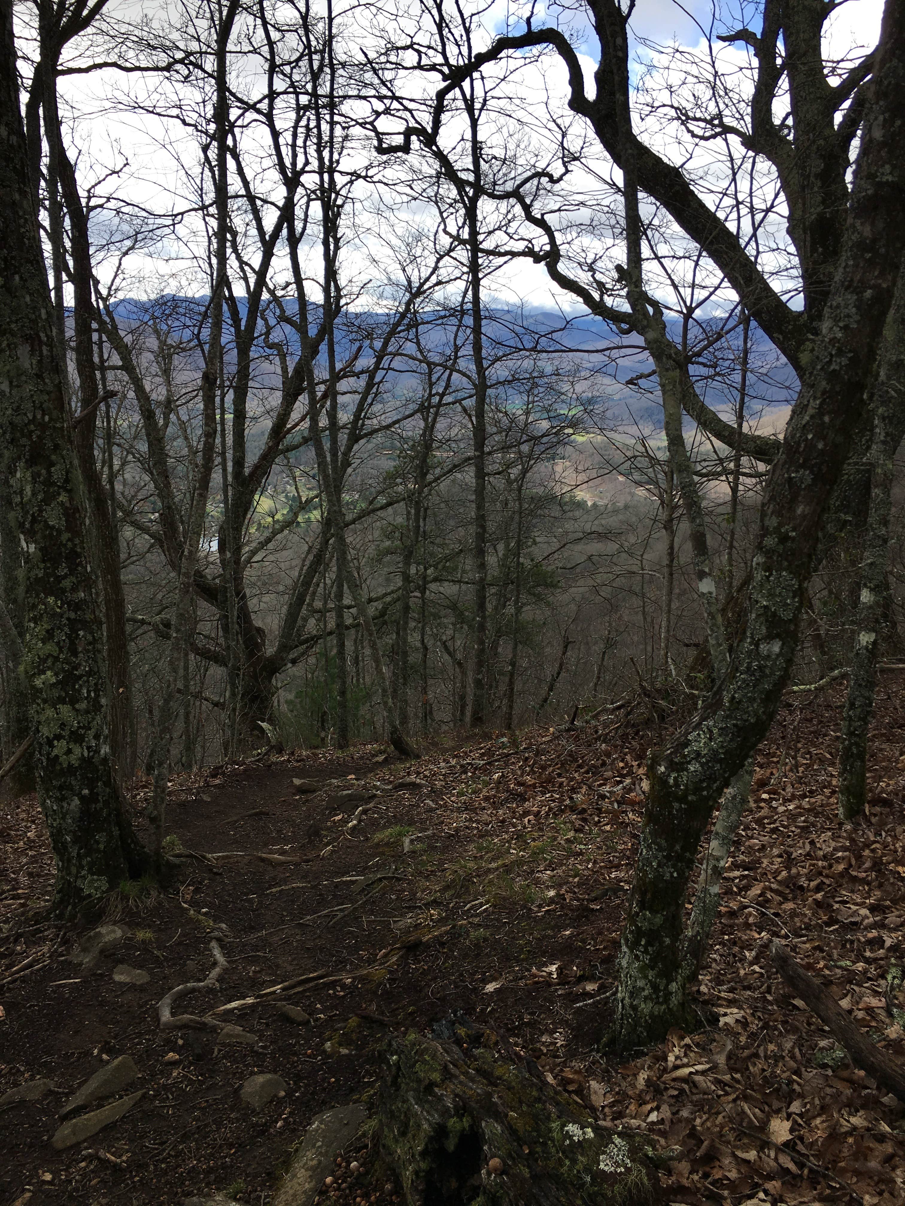 Camper submitted image from Bartram Trail Campground Past Wayah Bald - 2