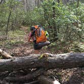 Review photo of Bartram Trail Campground Past Wayah Bald by Asher K., November 1, 2018