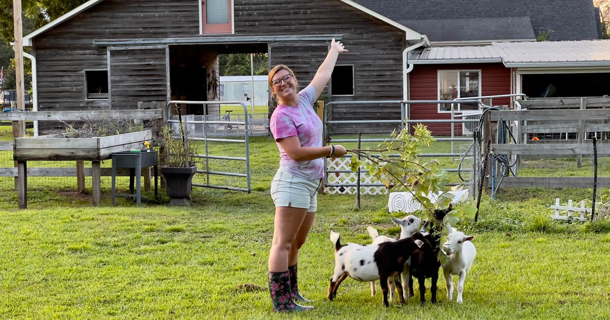 Flip Flop Family Farm Camping | Holly Ridge, North Carolina