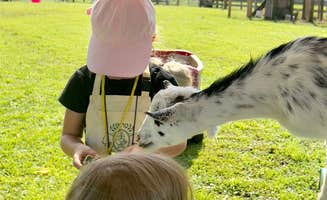 Jeannie B.'s photo of camping with pets at Flip Flop Family Farm near Morehead City, NC