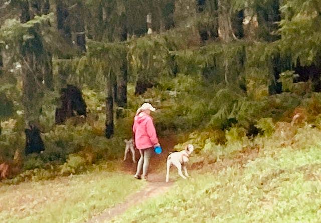 MickandKarla W.'s photo of camping with pets at Dairy Creek West — L.L. Stub Stewart Memorial State Park near Scappoose, OR