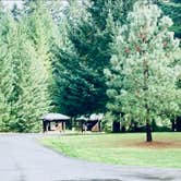 Review photo of L.L. Stub Stewart State Park Campground by MickandKarla W., November 5, 2023