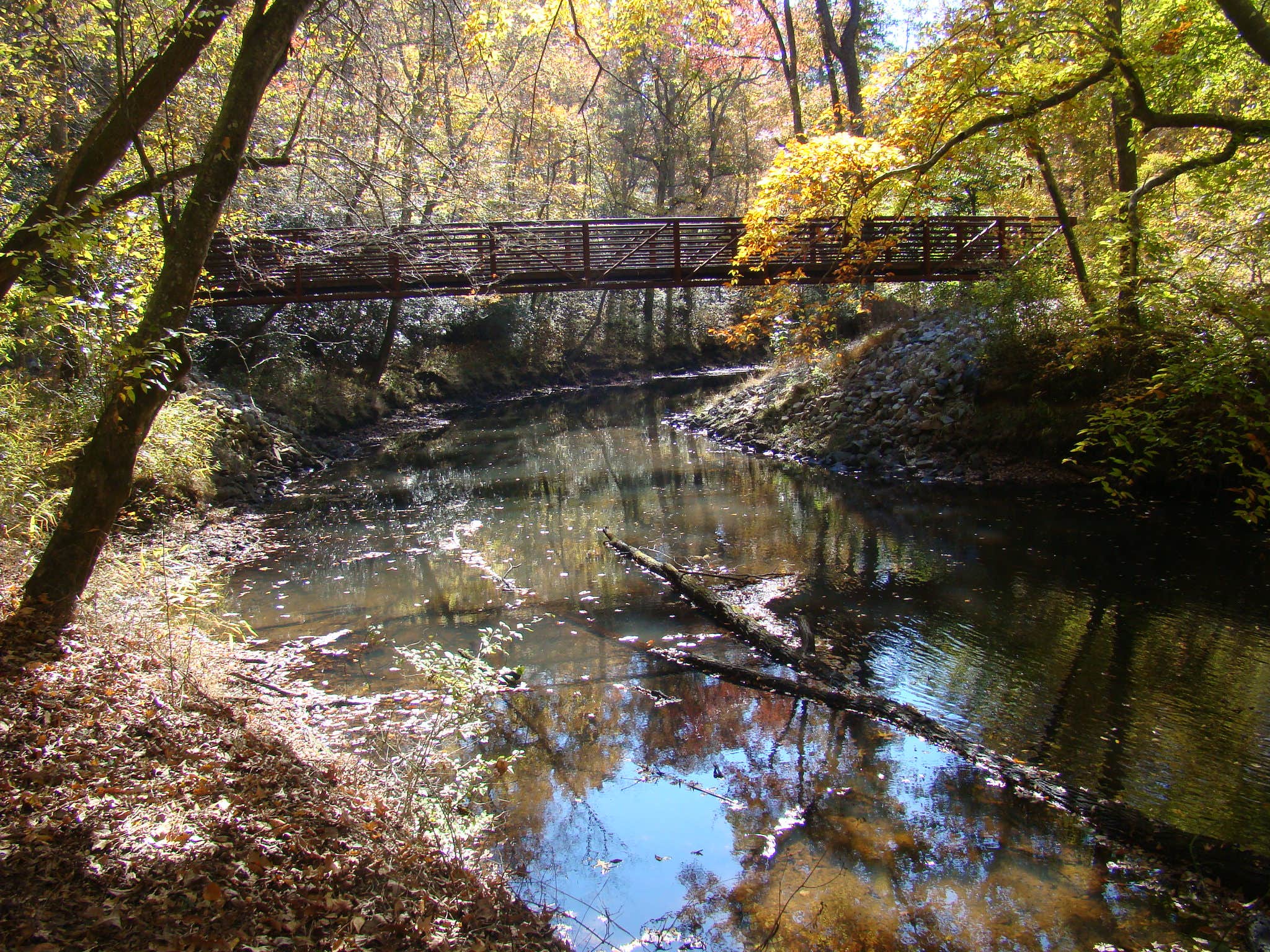 Medoc Mt. State Park Camping | The Dyrt