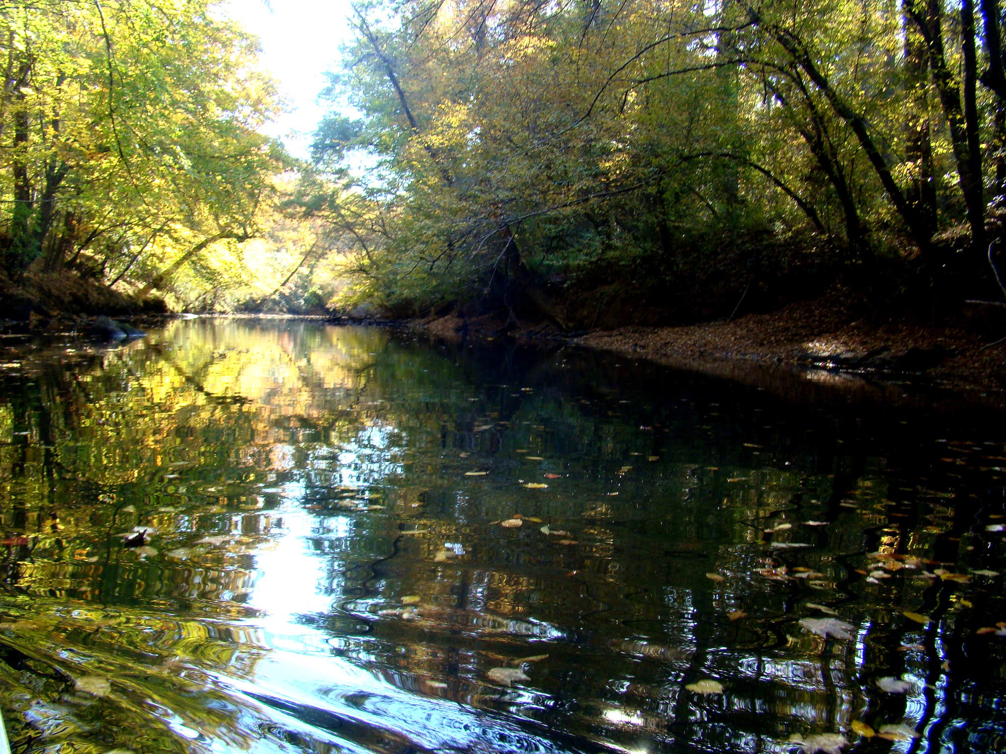 Camper submitted image from Medoc Mountain State Park Campground - 2