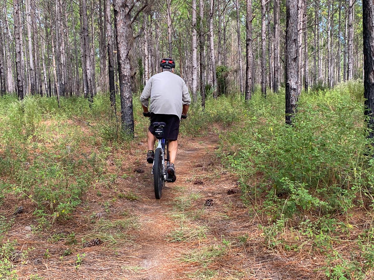 Camper submitted image from Whimcycle Trail Resort At Santos - 2
